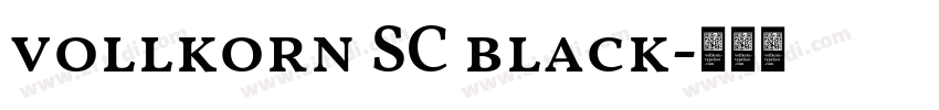 vollkorn SC black字体转换